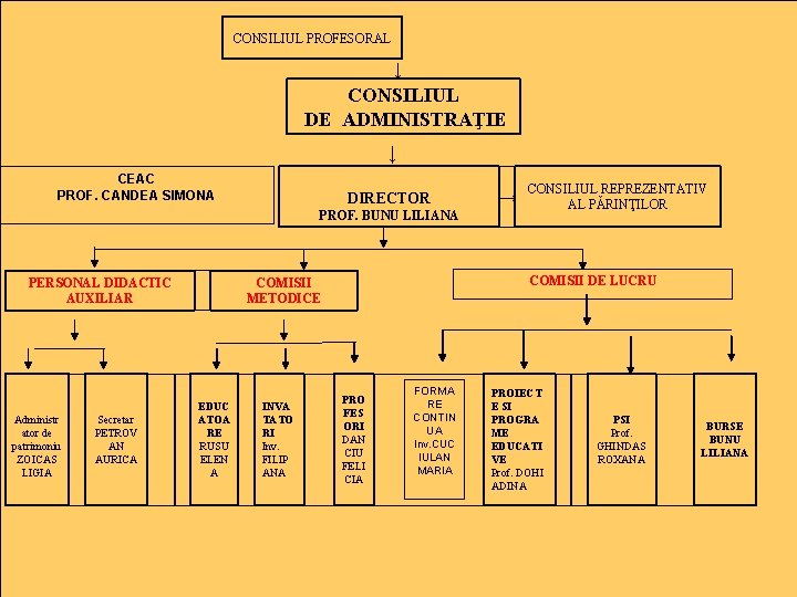 CONSILIUL PROFESORAL ↓ CONSILIUL DE ADMINISTRAŢIE ↓ CEAC PROF. CANDEA SIMONA DIRECTOR PROF. BUNU