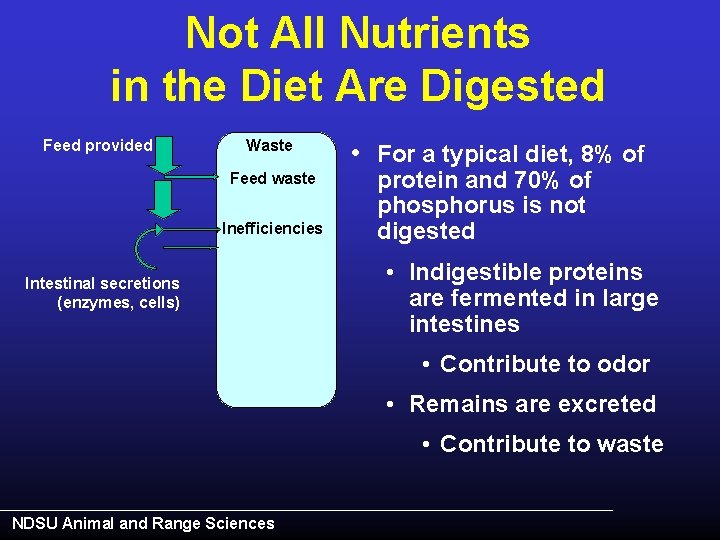 Not All Nutrients in the Diet Are Digested Feed provided Waste Feed waste Inefficiencies