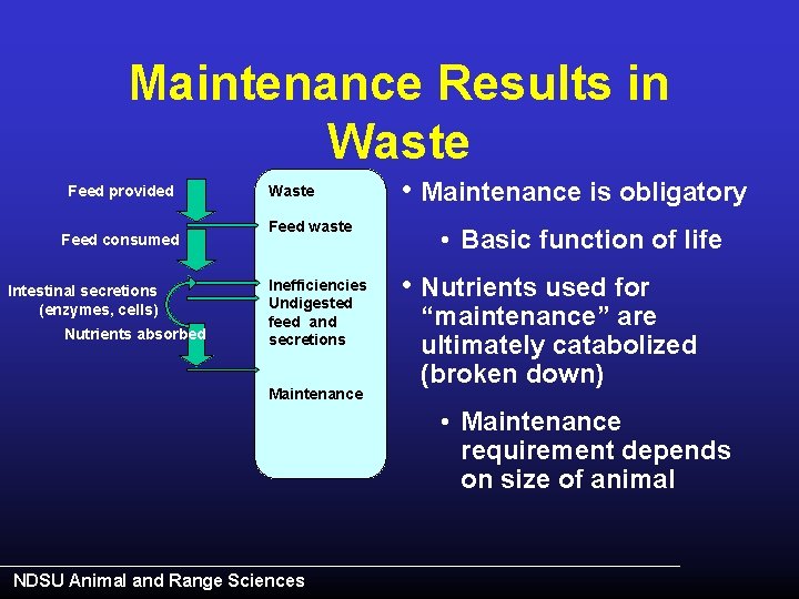 Maintenance Results in Waste Feed provided Feed consumed Intestinal secretions (enzymes, cells) Nutrients absorbed