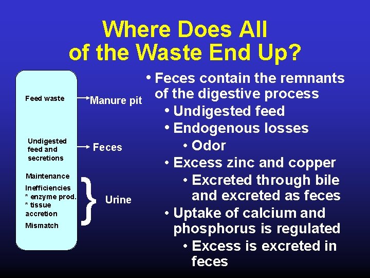 Where Does All of the Waste End Up? • Feces contain the remnants Feed