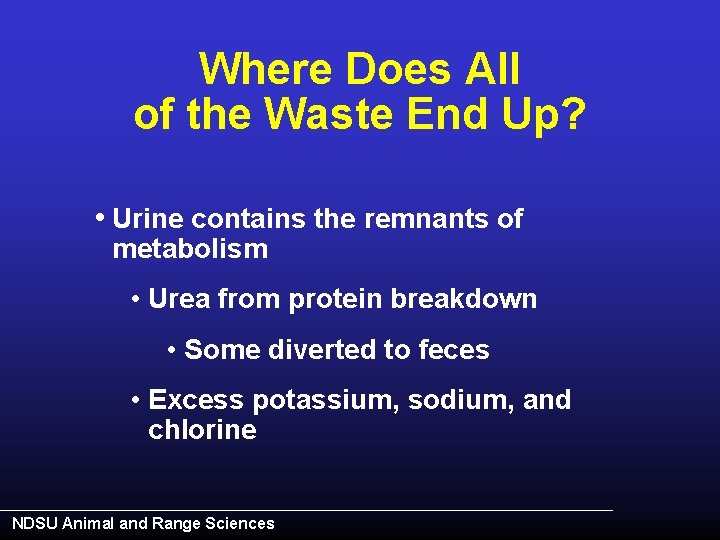 Where Does All of the Waste End Up? • Urine contains the remnants of