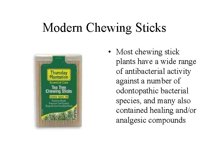 Modern Chewing Sticks • Most chewing stick plants have a wide range of antibacterial