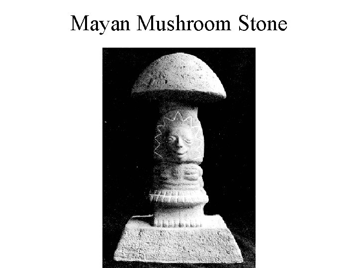 Mayan Mushroom Stone 