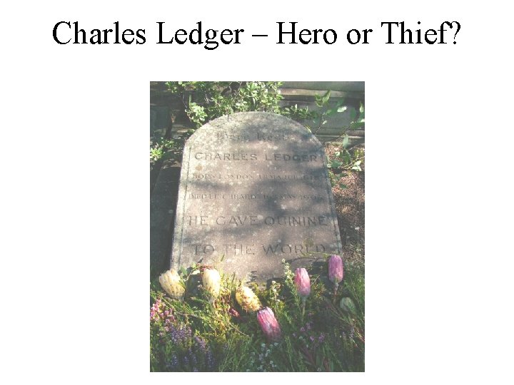 Charles Ledger – Hero or Thief? 