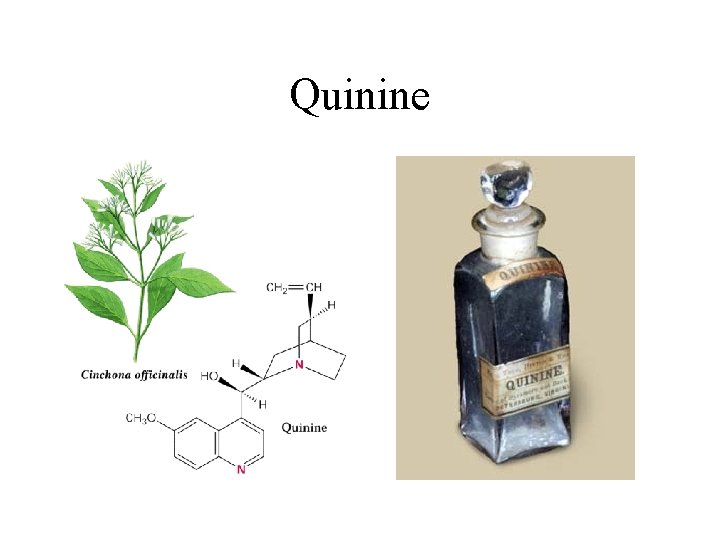 Quinine 