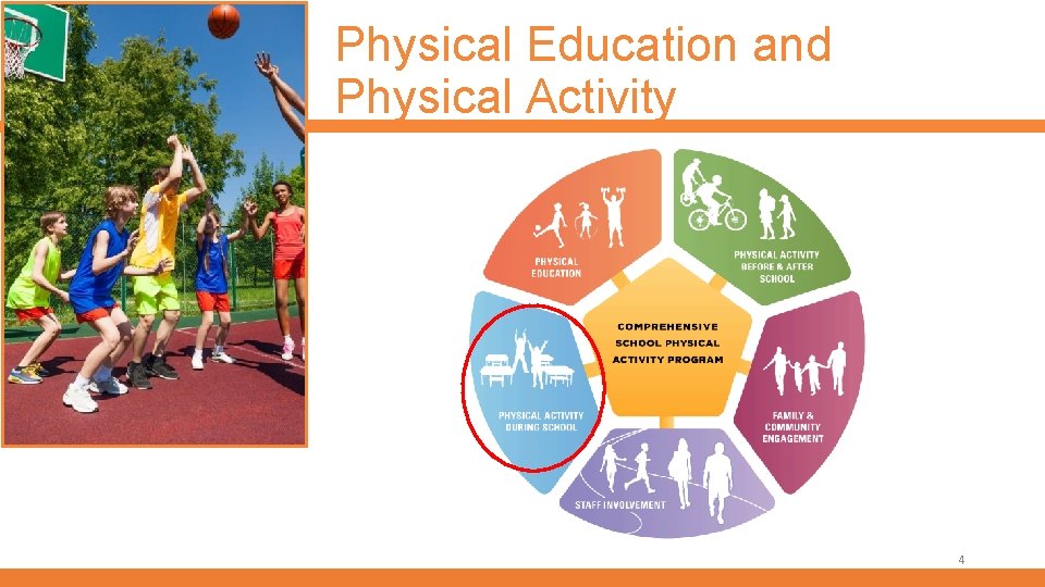 Physical Education and Physical Activity 4 