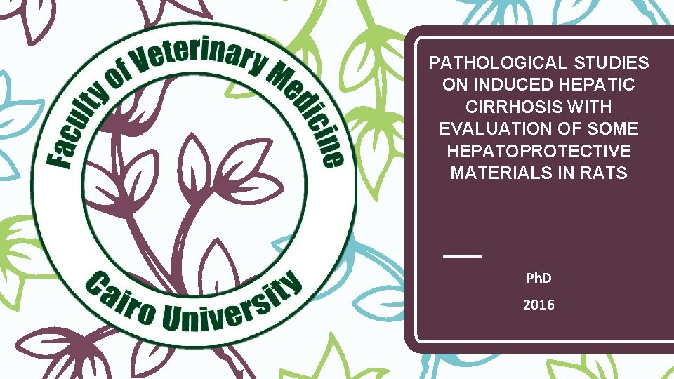 PATHOLOGICAL STUDIES ON INDUCED HEPATIC CIRRHOSIS WITH EVALUATION OF SOME HEPATOPROTECTIVE MATERIALS IN RATS PATHOLOGICAL STUDIES ON INDUCED HEPATIC CIRRHOSIS WITH EVALUATION OF SOME HEPATOPROTECTIVE MATERIALS IN RATS