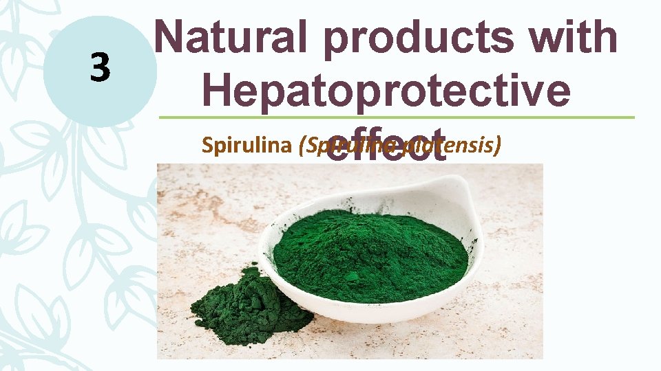 Natural products with 3 Hepatoprotective Spirulina (Spirulina platensis) effect Natural products with 3 Hepatoprotective Spirulina (Spirulina platensis) effect