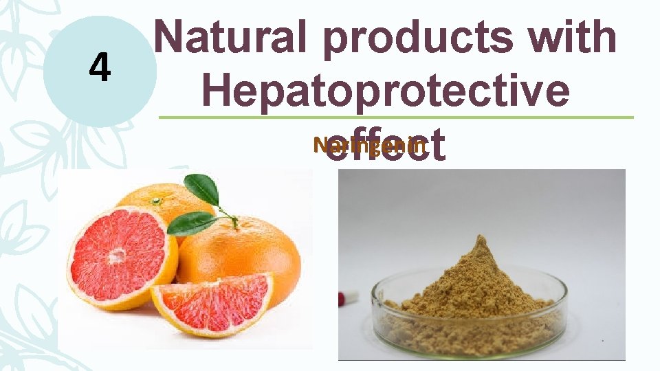 Natural products with 4 Hepatoprotective Naringenin effect Natural products with 4 Hepatoprotective Naringenin effect