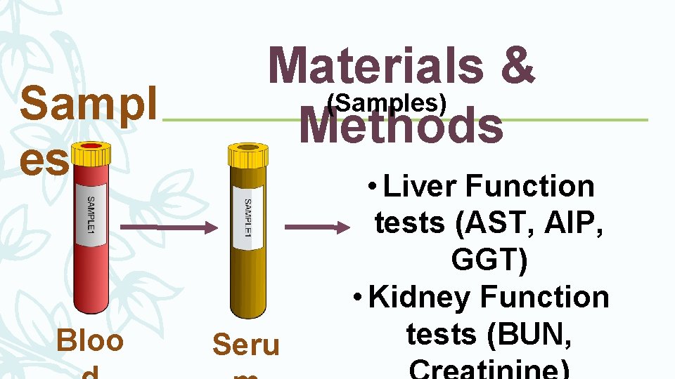 Sampl es Bloo Materials & (Samples) Methods Seru • Liver Function tests (AST, Al. Sampl es Bloo Materials & (Samples) Methods Seru • Liver Function tests (AST, Al.