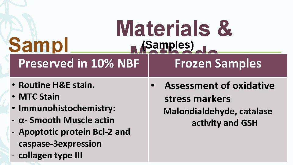 Materials & (Samples) Sampl Methods Preserved in 10% NBF Frozen Samples es Routine H&E Materials & (Samples) Sampl Methods Preserved in 10% NBF Frozen Samples es Routine H&E