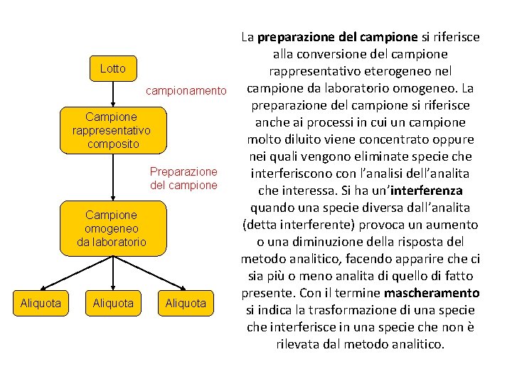 Lotto campionamento Campione rappresentativo composito Preparazione del campione Campione omogeneo da laboratorio Aliquota La