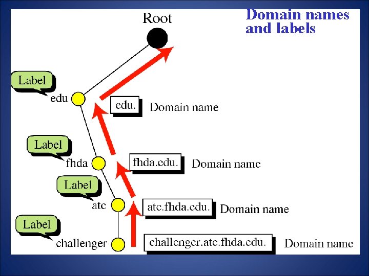 Domain names and labels 