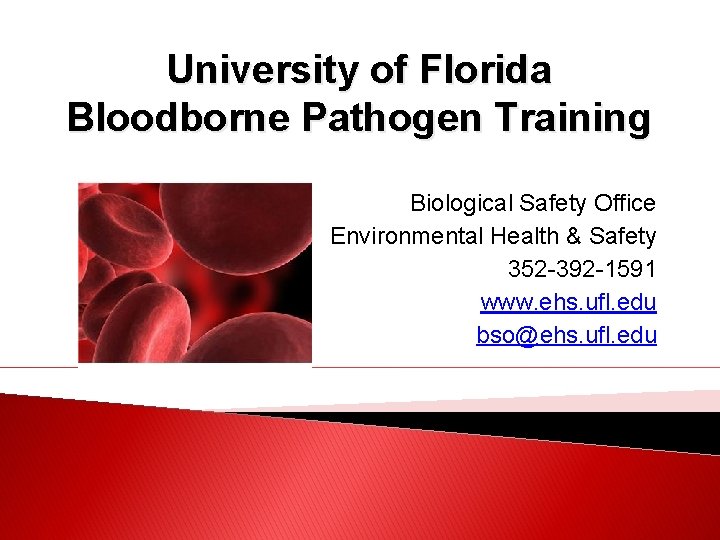 University of Florida Bloodborne Pathogen Training Biological Safety Office Environmental Health & Safety 352