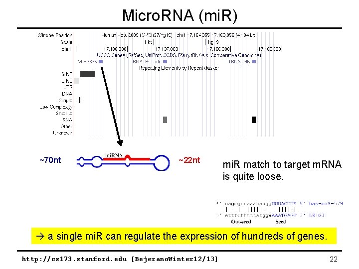 Micro. RNA (mi. R) ~70 nt ~22 nt mi. R match to target m.