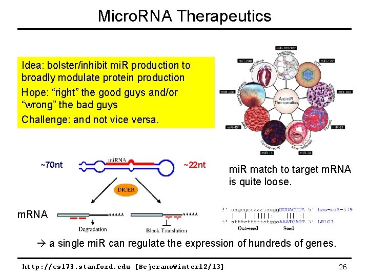 Micro. RNA Therapeutics Idea: bolster/inhibit mi. R production to broadly modulate protein production Hope:
