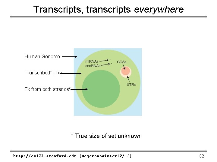 Transcripts, transcripts everywhere Human Genome Transcribed* (Tx) Tx from both strands* * True size