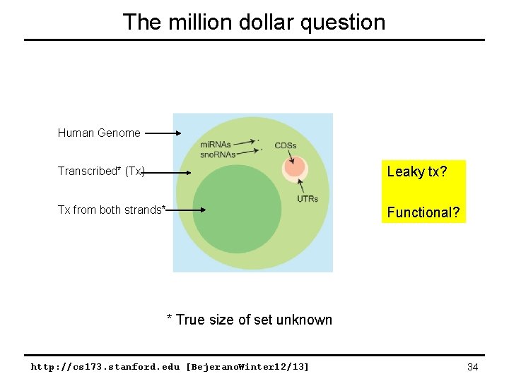 The million dollar question Human Genome Transcribed* (Tx) Leaky tx? Tx from both strands*