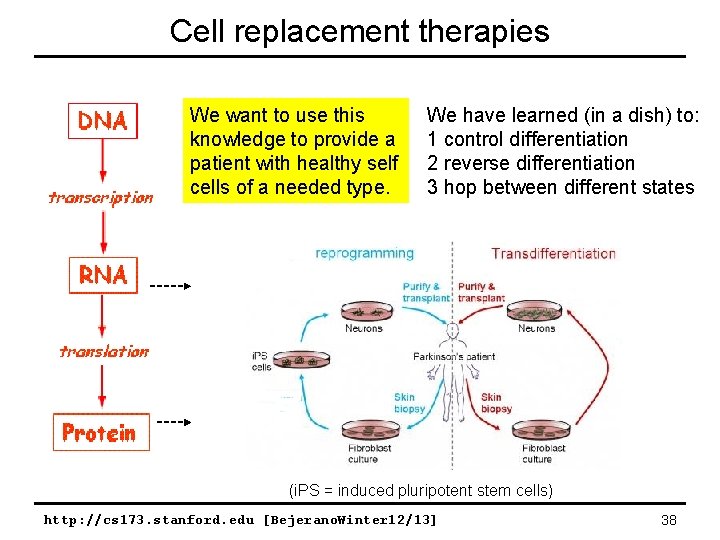 Cell replacement therapies We want to use this knowledge to provide a patient with