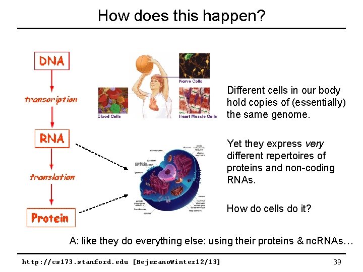 How does this happen? Different cells in our body hold copies of (essentially) the