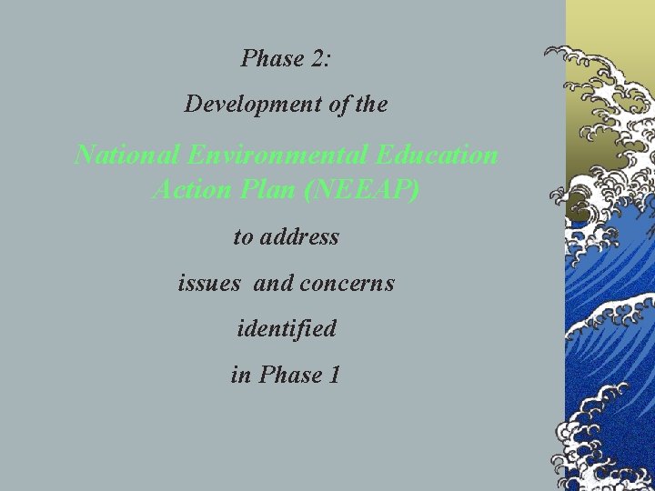 Phase 2: Development of the National Environmental Education Action Plan (NEEAP) to address issues