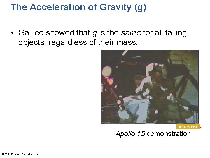 The Acceleration of Gravity (g) • Galileo showed that g is the same for