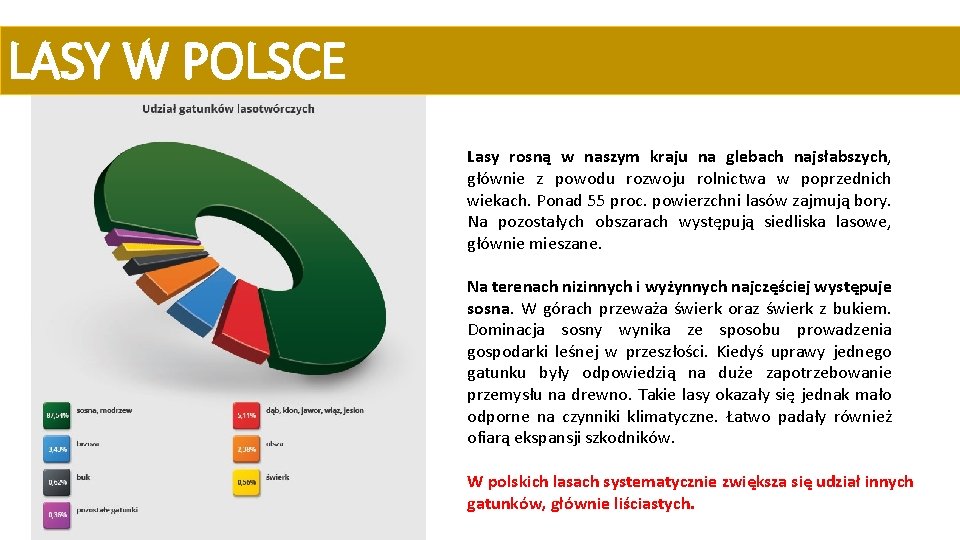 LASY W POLSCE Lasy rosną w naszym kraju na glebach najsłabszych, głównie z powodu