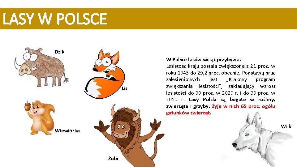 LASY W POLSCE Dzik Lis W Polsce lasów wciąż przybywa. Lesistość kraju została zwiększona