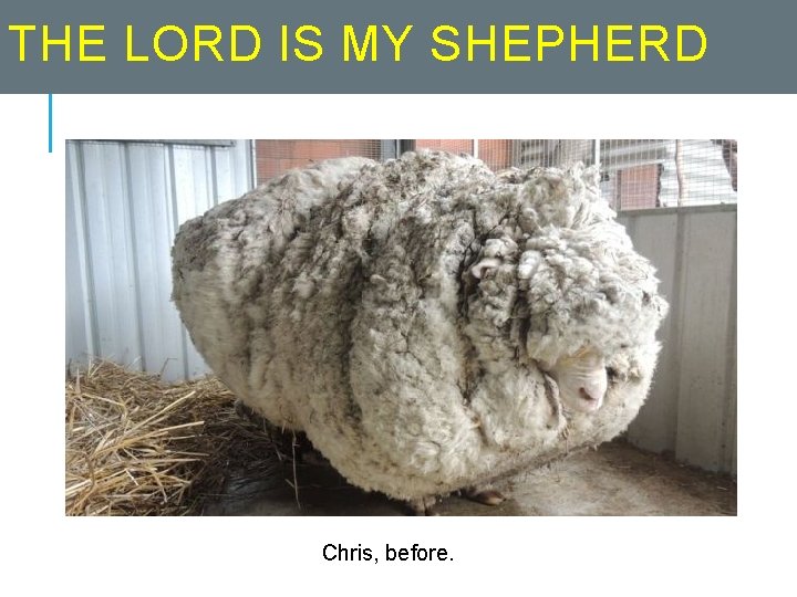 THE LORD IS MY SHEPHERD Chris, before. 