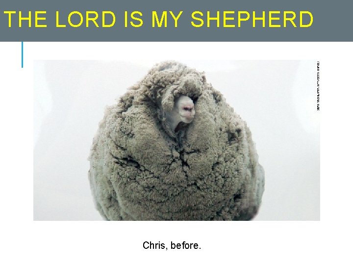 THE LORD IS MY SHEPHERD Chris, before. 