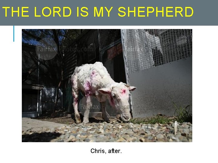 THE LORD IS MY SHEPHERD Chris, after. 