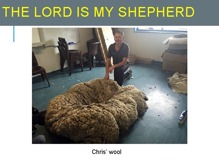 THE LORD IS MY SHEPHERD Chris’ wool 