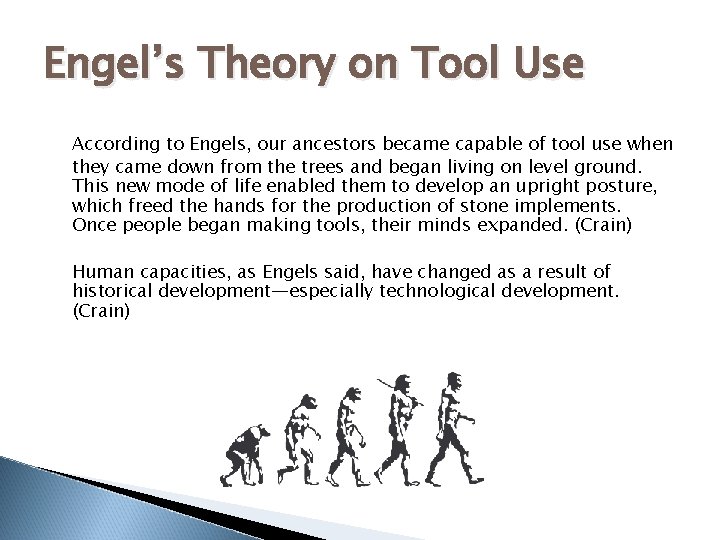 Engel’s Theory on Tool Use According to Engels, our ancestors became capable of tool