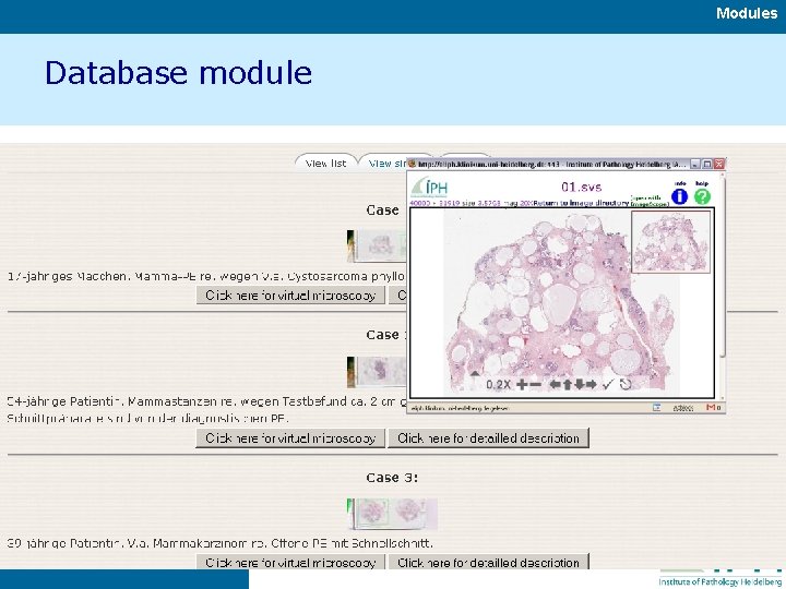 Modules Database module 