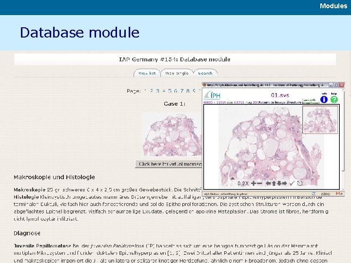 Modules Database module 