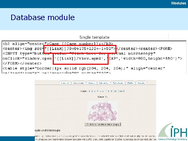 Modules Database module 