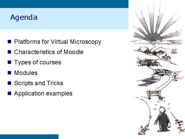 Agenda n Platforms for Virtual Microscopy n Characteristics of Moodle n Types of courses