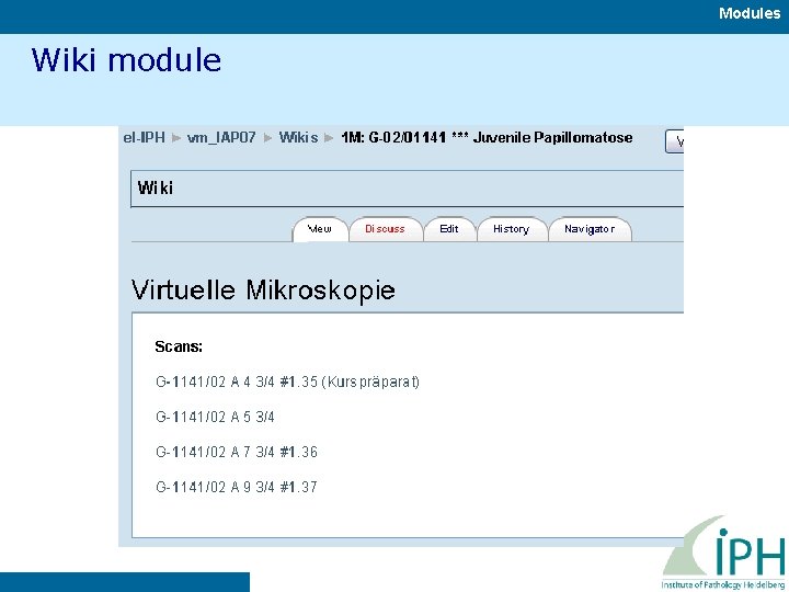 Modules Wiki module 