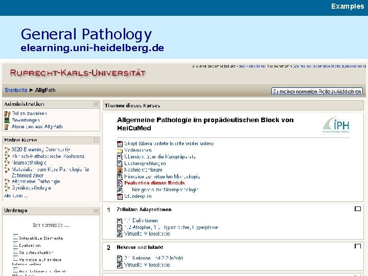 Examples General Pathology elearning. uni-heidelberg. de 