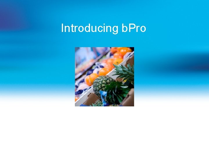 Introducing b. Pro 