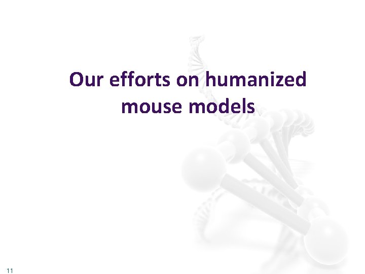 Our efforts on humanized mouse models 11 