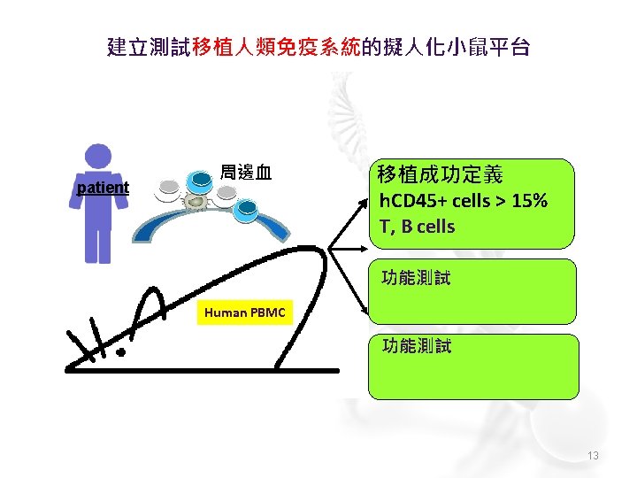 建立測試移植人類免疫系統的擬人化小鼠平台 patient 周邊血 移植成功定義 h. CD 45+ cells > 15% T, B cells 功能測試