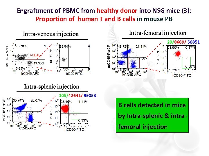 Engraftment of PBMC from healthy donor into NSG mice (3): Proportion of human T