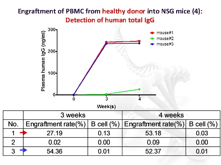 Engraftment of PBMC from healthy donor into NSG mice (4): Detection of human total