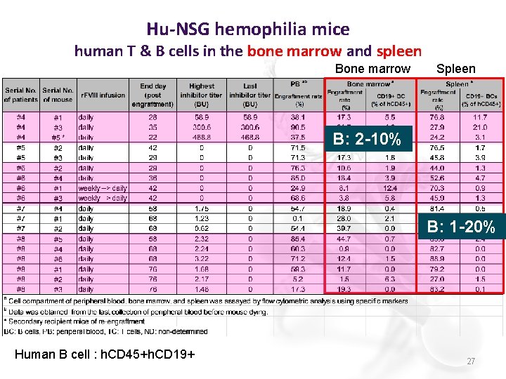 Hu-NSG hemophilia mice human T & B cells in the bone marrow and spleen