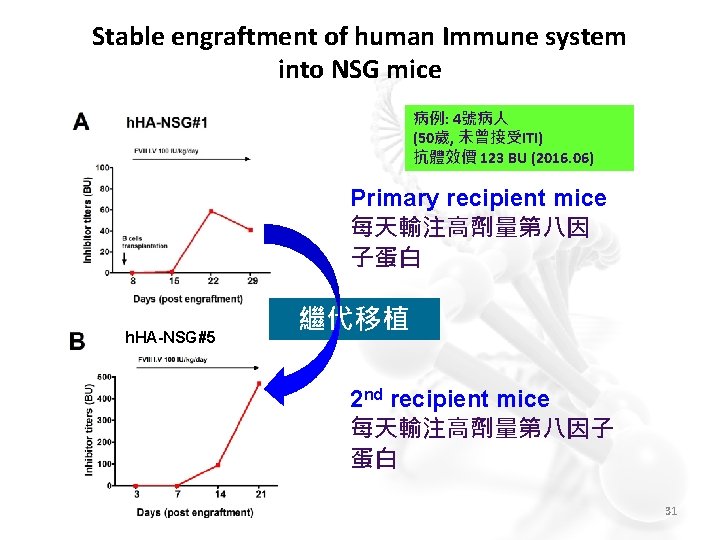 Stable engraftment of human Immune system into NSG mice 病例: 4號病人 (50歲, 未曾接受ITI) 抗體效價