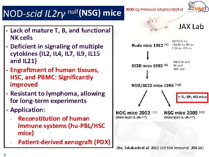 NOD-scid IL 2 rγ • • • 5 null • (NSG) mice Lack of
