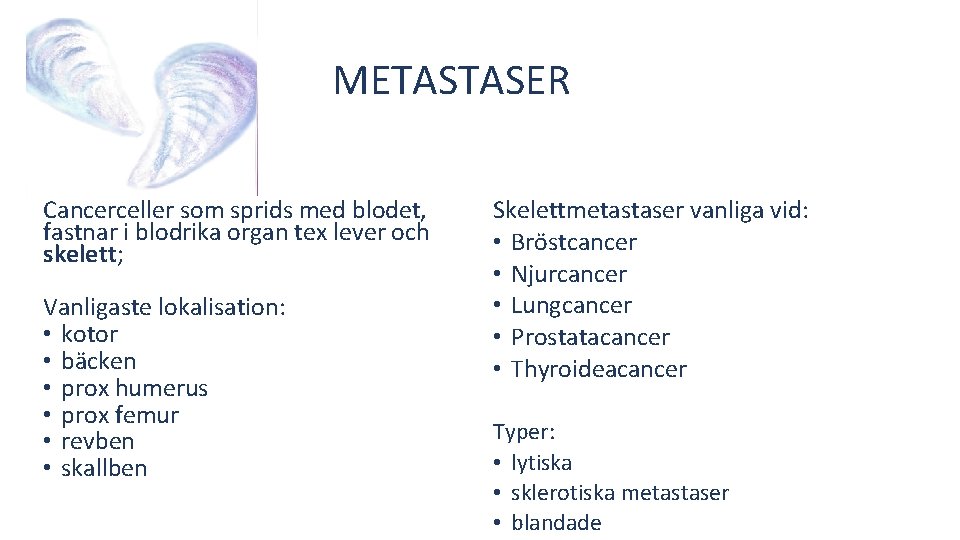 METASTASER Cancerceller som sprids med blodet, fastnar i blodrika organ tex lever och skelett;