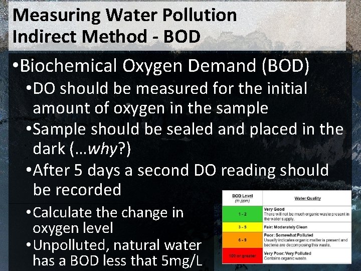 Measuring Water Pollution Indirect Method - BOD • Biochemical Oxygen Demand (BOD) • DO