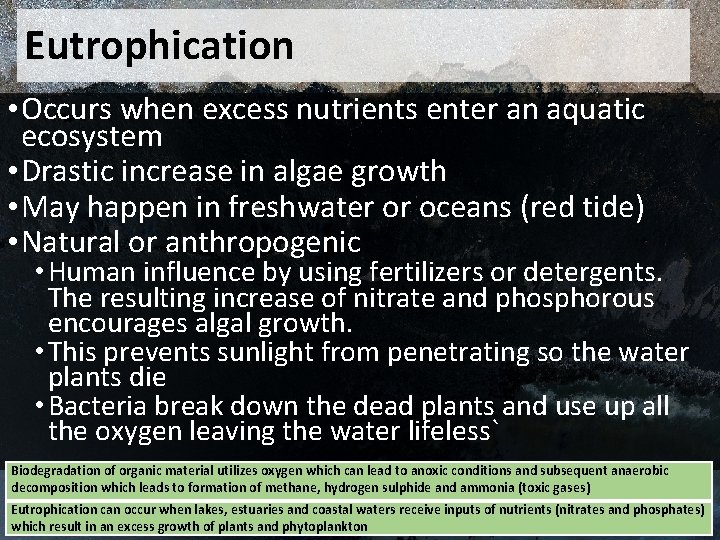 Eutrophication • Occurs when excess nutrients enter an aquatic ecosystem • Drastic increase in